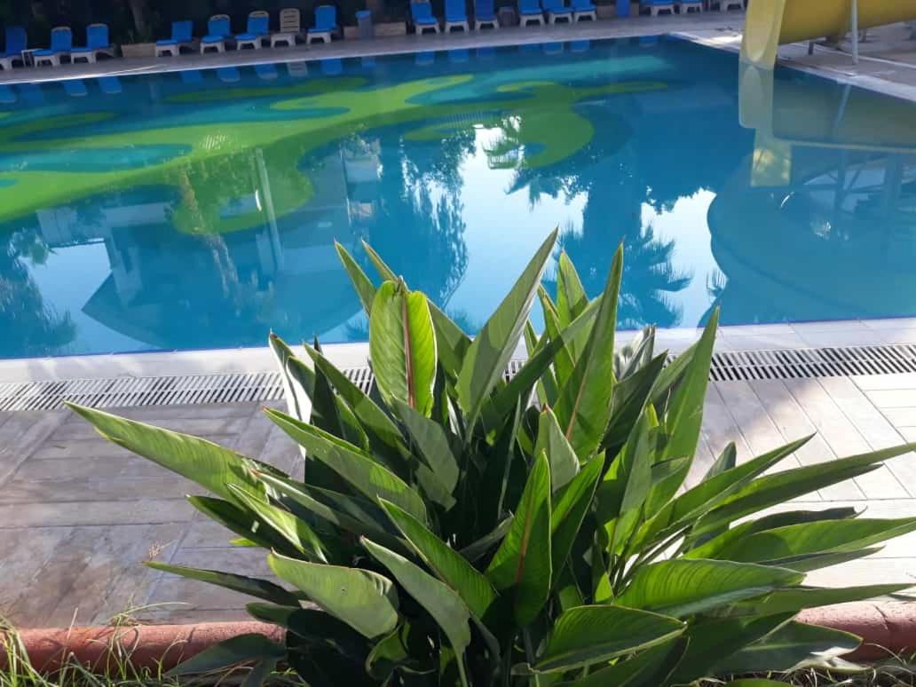Club Jovia Kemer Hotell Antalya Eksteriør bilde