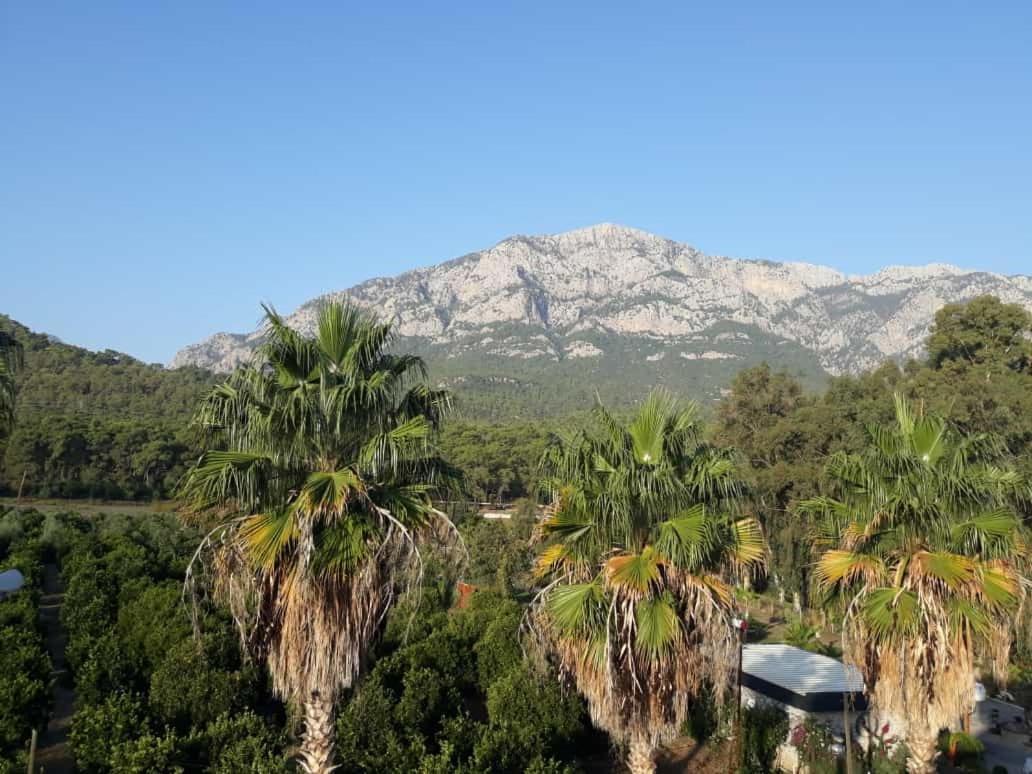 Club Jovia Kemer Hotell Antalya Eksteriør bilde